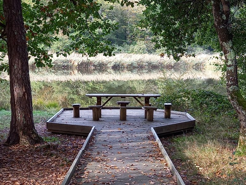 Etang de St Bonnet de Tronçais 
