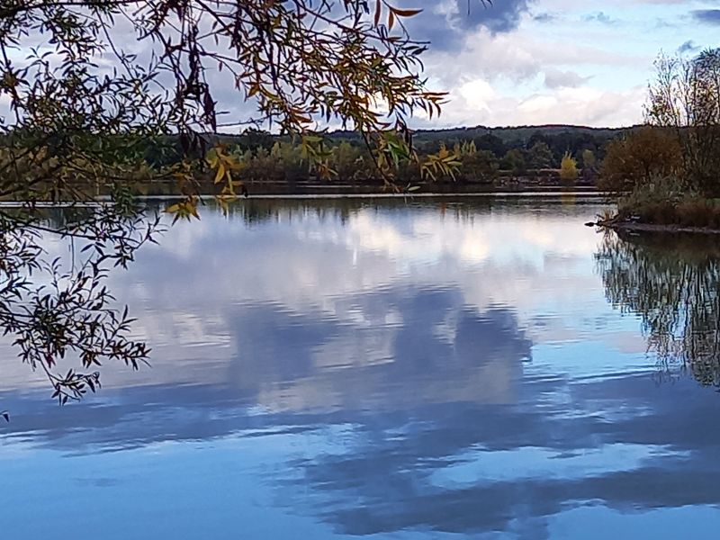 Etang Tronçais 