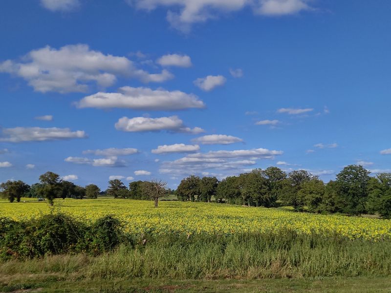 Campagne Bourbonaise