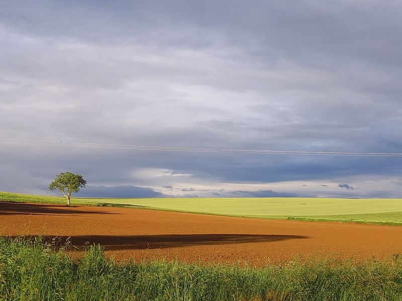 Route de St Amand 