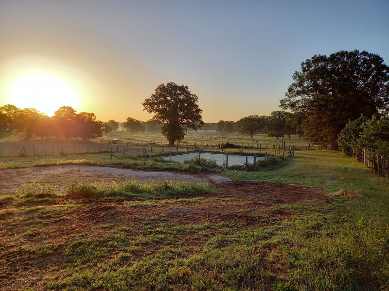 Sunrise sur le Domaine