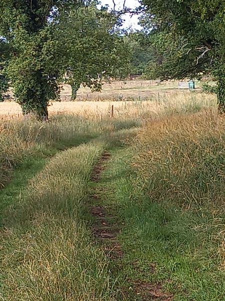 Chemin d accès privé au Domaine 