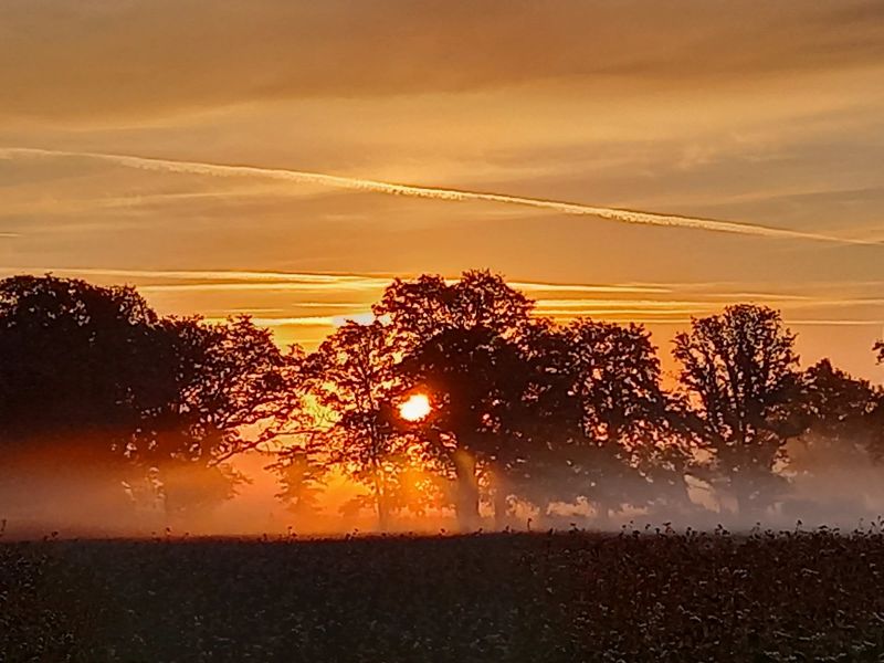 Sunrise