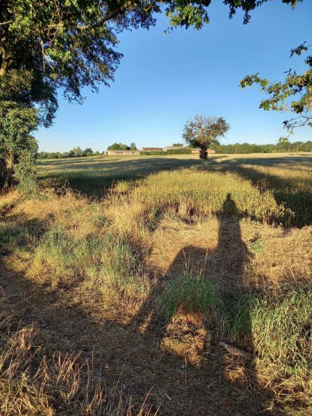 Domaine de Beauregard