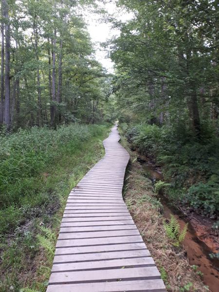 Chemins de rando Etang de St Bonnet