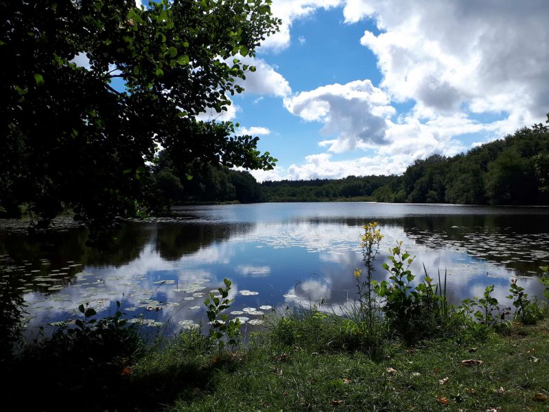 Etangs de Troncais