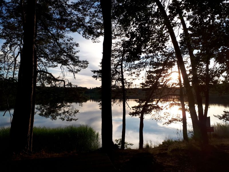 Vue ZEN sur l étang 