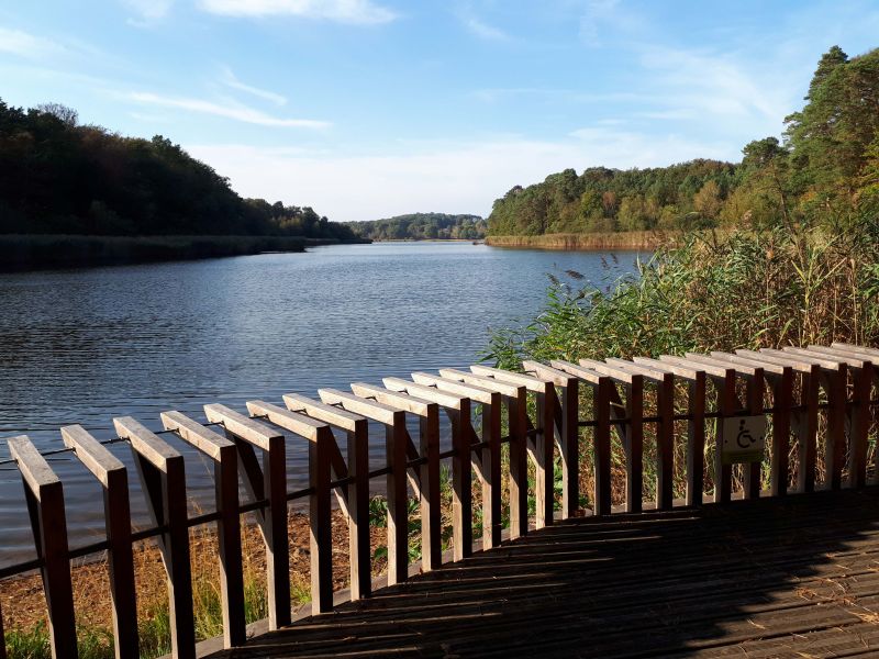 Etangs de Troncais