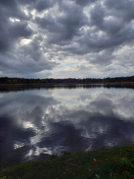 Etangs en forêt 